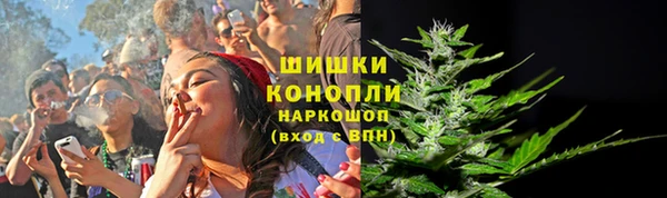 соль ск Касимов