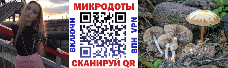 Галлюциногенные грибы ЛСД  Купить  Демидов 